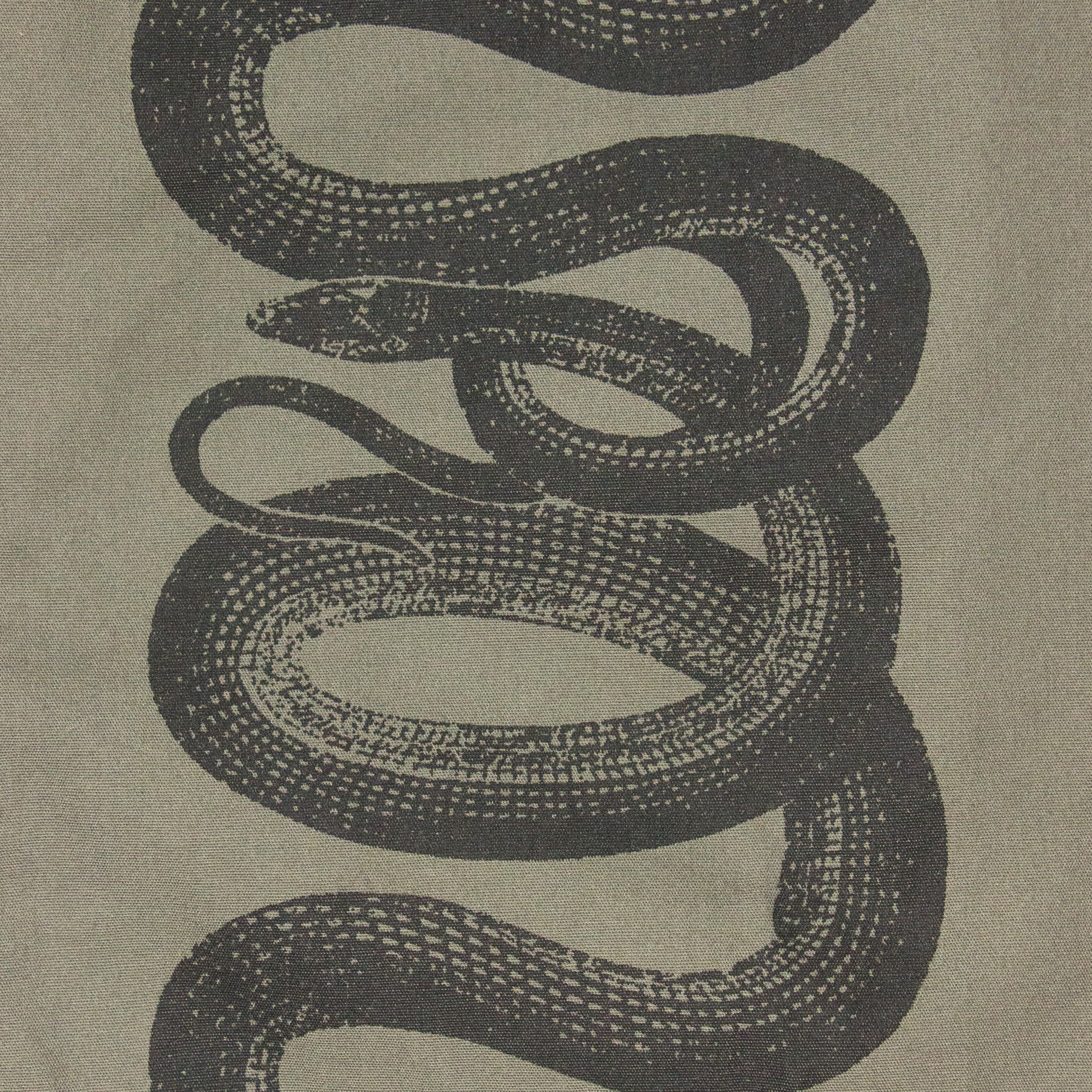 最初期 hysteric glamour snake design shirt-